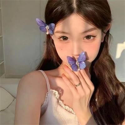 继承者风云